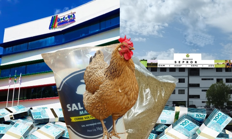 Governo do Amazonas paga R$ 1,5 milhão para empresa Decares fornecer sal e ração de galinha por 30 dias; veja