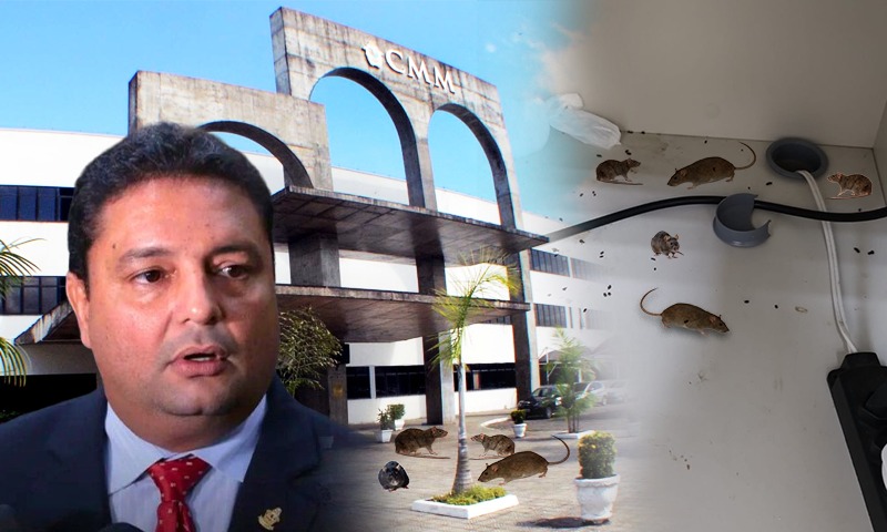 Câmara Municipal de Manaus se transforma em covil de ratos e sujeira durante gestão do vereador Caio André