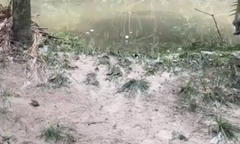 Urgente: corpo é encontrado boiando no igarapé do Mindu em Manaus; veja vídeo