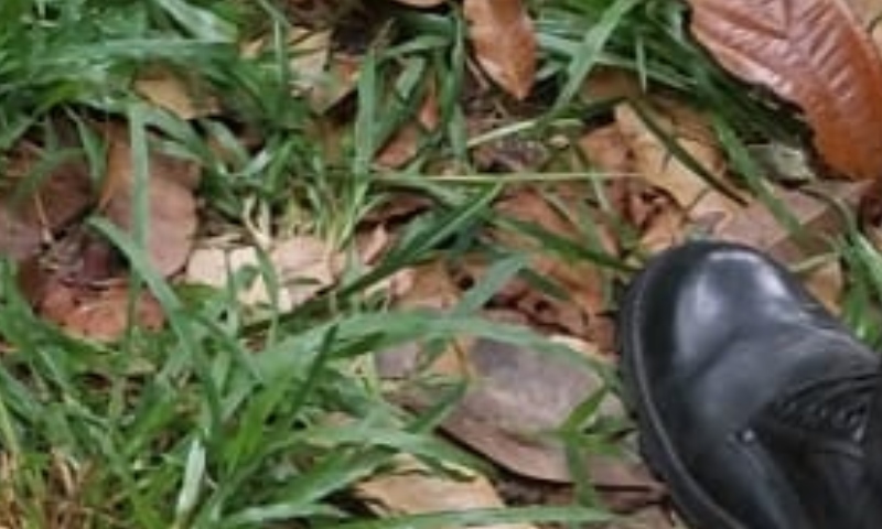 Urgente: dois homens são executados no ramal Chico Mendes em Manaus; veja