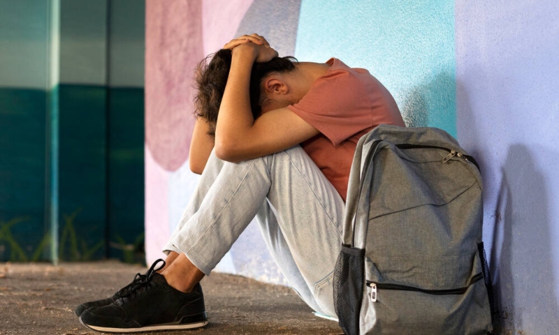 Artigo: A nova lei do bullying