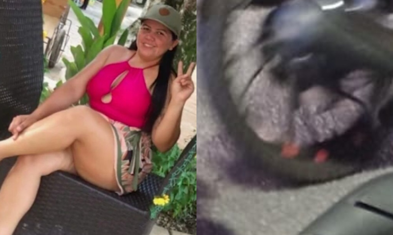 Mulher morre em grave acidente e marido chora desolado sobre o corpo dela; veja vídeo