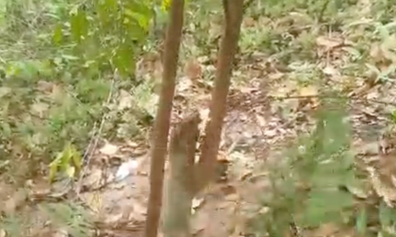 Vaza vídeo de homem tendo dedo cortado com terçado e sendo torturado até a morte em Manaus; veja