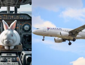 Coelho ganha o direito de ser transportado em cabine de avião da Latam, determina juiz de Manaus