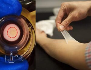 Cientistas brasileiros criam pele artificial 3D mais realista para estudos e tratamentos médicos