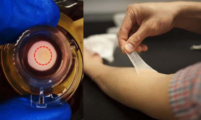 Cientistas brasileiros criam pele artificial 3D mais realista para estudos e tratamentos médicos