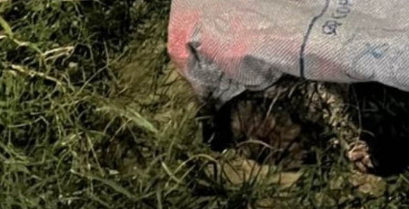 Urgente: corpo esquartejado é encontrado dentro de saco em Manaus