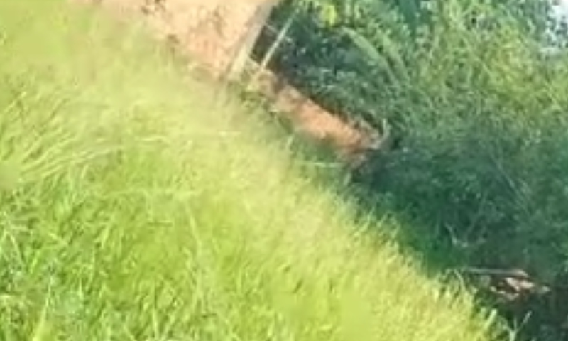 Motoqueiro é encontrado morto em matagal no bairro Nova Cidade; veja vídeo