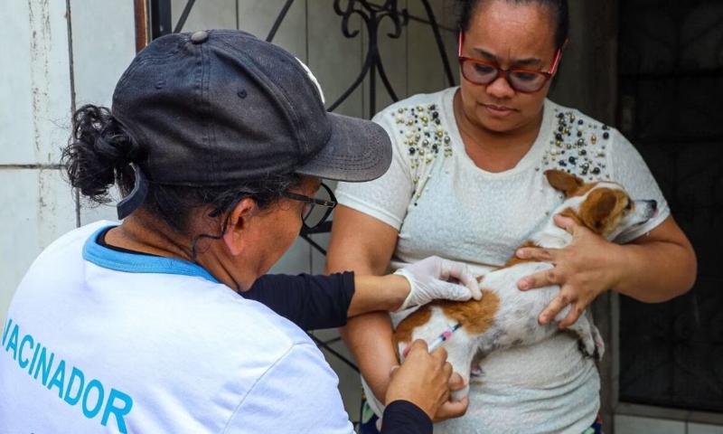 Prefeitura de Manaus amplia pontos fixos de vacinação antirrábica