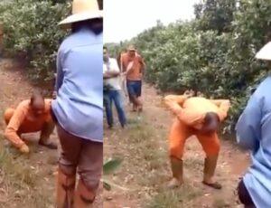 Homem fica possuído no trabalho após roubar oferenda em encruzilhada; veja vídeo