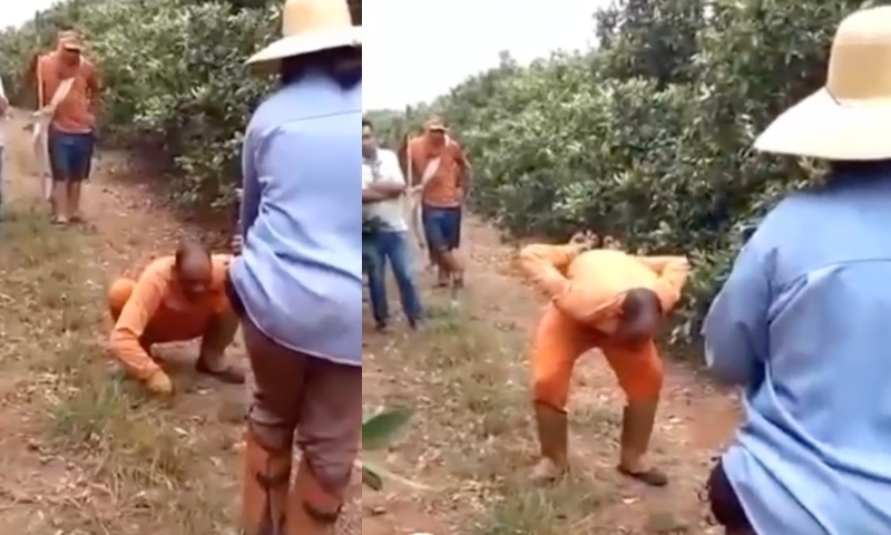 Homem fica possuído no trabalho após roubar oferenda em encruzilhada; veja vídeo