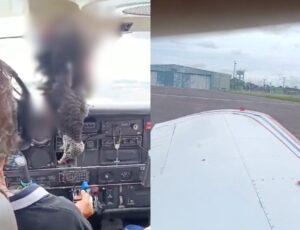 Urubu colide contra avião e fica preso na vidraça da cabine dos pilotos em Eirunepé; veja vídeo