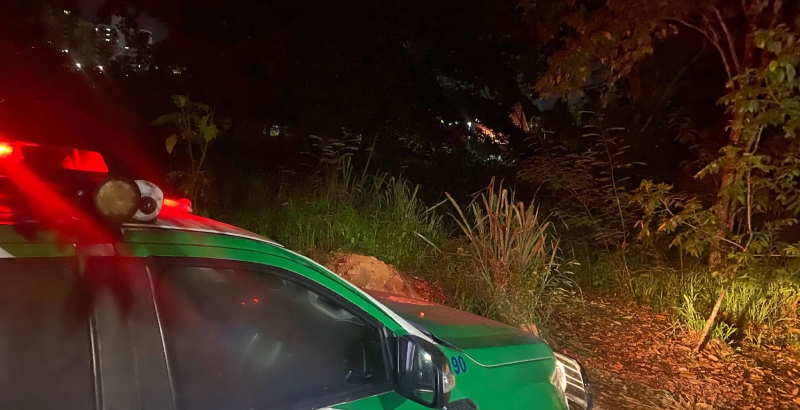 Amarrado, torturado e assassinado: corpo de homem é encontrado em matagal no Adrianópolis