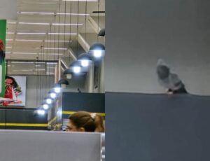 Cliente filma pombo dentro do DB da Ponta Negra: "tá morando em cima do açougue!"; veja vídeo