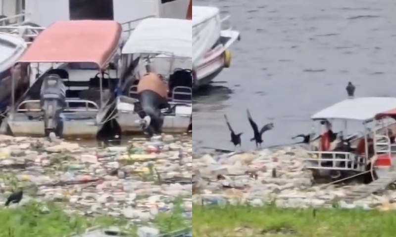 “No meio do pitiú”: lixo e urubus se acumulam com a subida do Rio Negro; veja vídeo