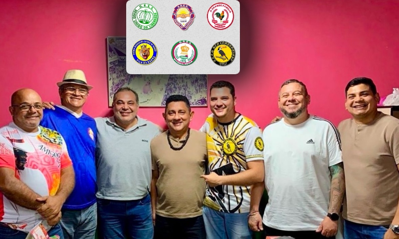 Carnaval 2025: Liesa cai e escolas de samba devolvem festa ao Povo