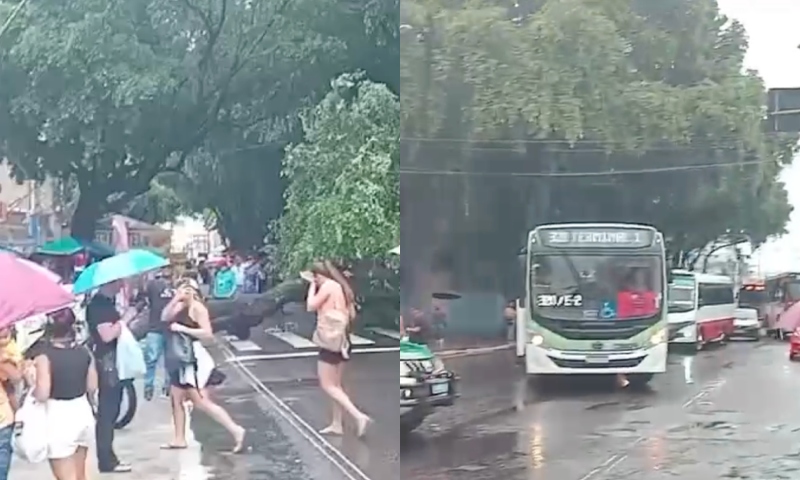 Avenida Epaminondas é interditada após árvore cair durante forte chuva no Centro de Manaus; veja vídeos