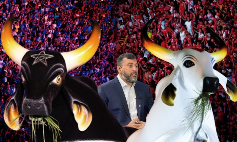 Bois-bumbás querem independência e planejam Festival de Parintins sem o apoio do Governo do AM em 2025