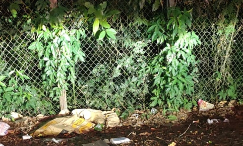 Com mãos e pés amarrados, mulher tem cabeça estourada a tiros no Distrito industrial; veja