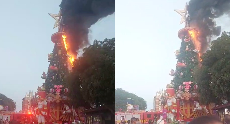 Urgente: árvore de natal do Largo de São Sebastião pega fogo; veja vídeo