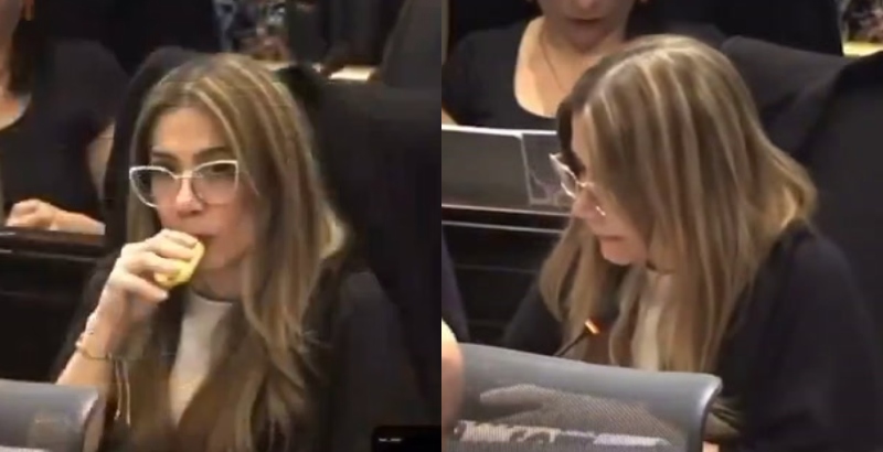 Deputada é flagrada fumando ‘vape’ durante sessão de reforma na saúde; veja vídeo