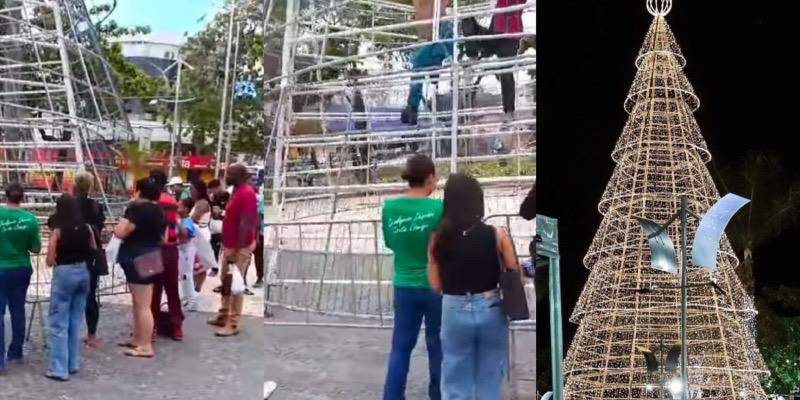 “O Natal dessa família não será o mesmo”: mulher morre ao tentar escalar linda árvore; veja vídeos