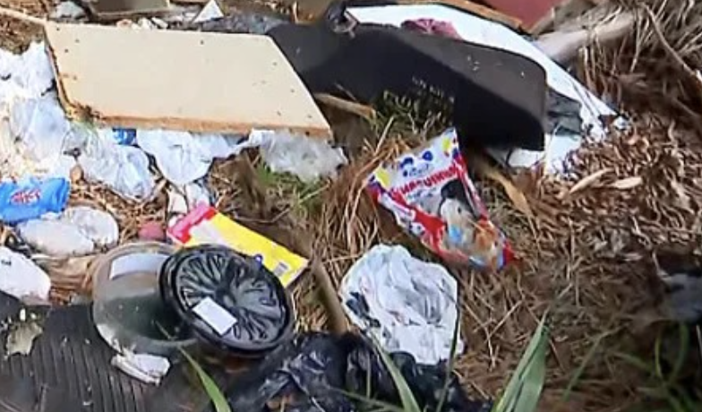 Feto é encontrado em meio a lixo no Parque Mauá; veja vídeo