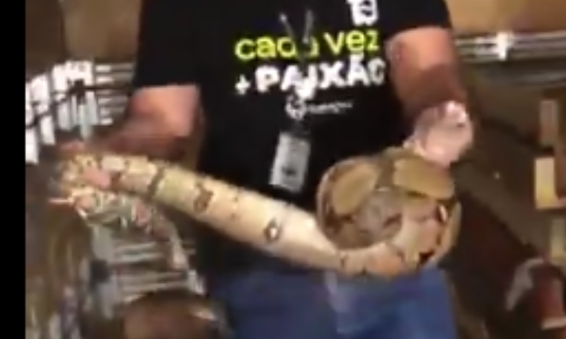 Cobra é encontrada em depósito do Shopping Sumaúma em Manaus; veja vídeo