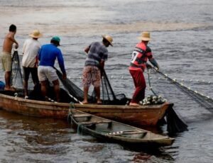 Pescadores afetados pela seca começam a receber auxílio financeiro no Amazonas