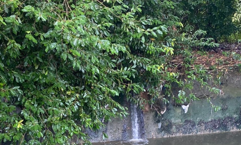 Urgente: corpo é encontrado boiando em igarapé de Manaus; veja