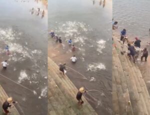 “Fartura em Manacapuru”: peixes pulam direto nas redes dos "cozinheiros" no Balneário do Miriti; veja vídeos