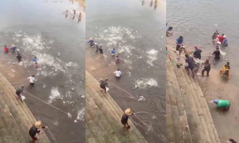 Fartura em Manacapuru: peixes pulam direto nas redes dos “cozinheiros” no Balneário do Miriti; veja vídeos