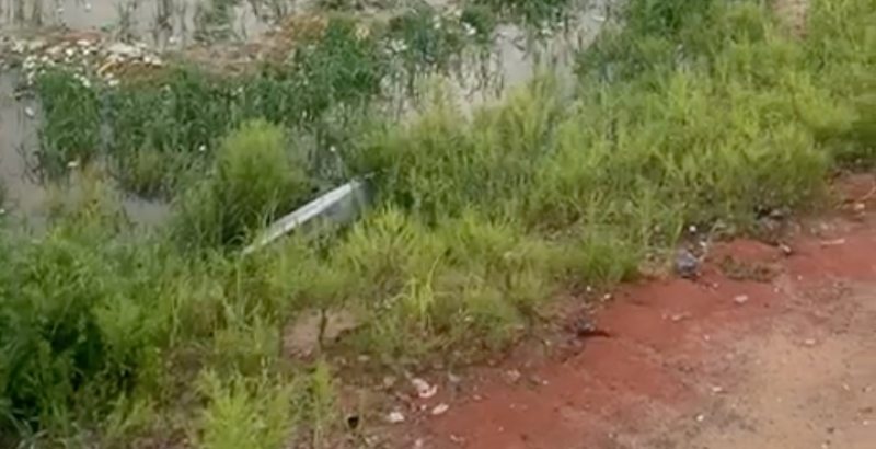 Urgente: corpo sem cabeça é encontrado boiando em igarapé do São Raimundo; veja vídeo