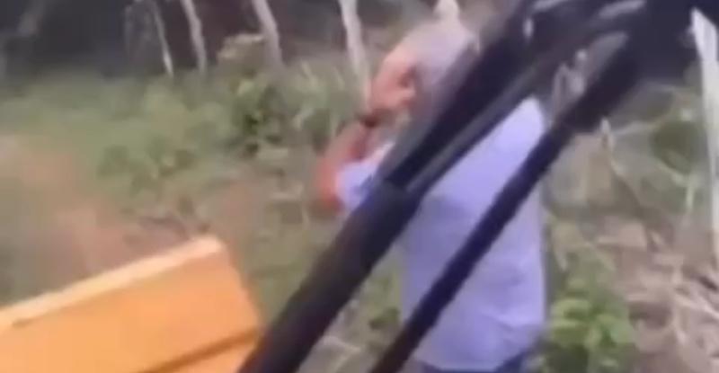 Ex-vereador morre após ser atacado por abelhas no próprio sítio; veja vídeos