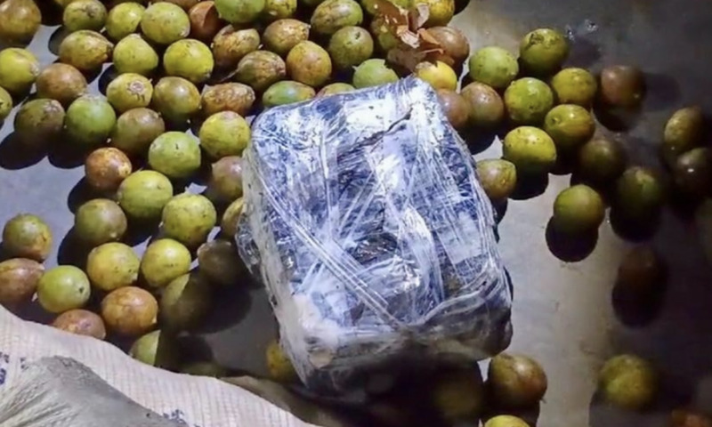 Drog4s são apreendidas dentro de sacas de tucumã no Amazonas