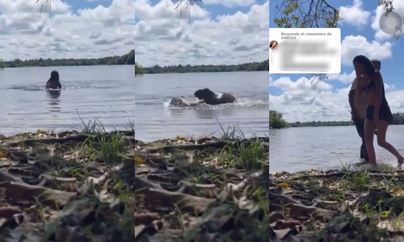Mordida até na cabeça: veja momento que menina é atacada por capivara enquanto fazia vídeo para o Tik Tok
