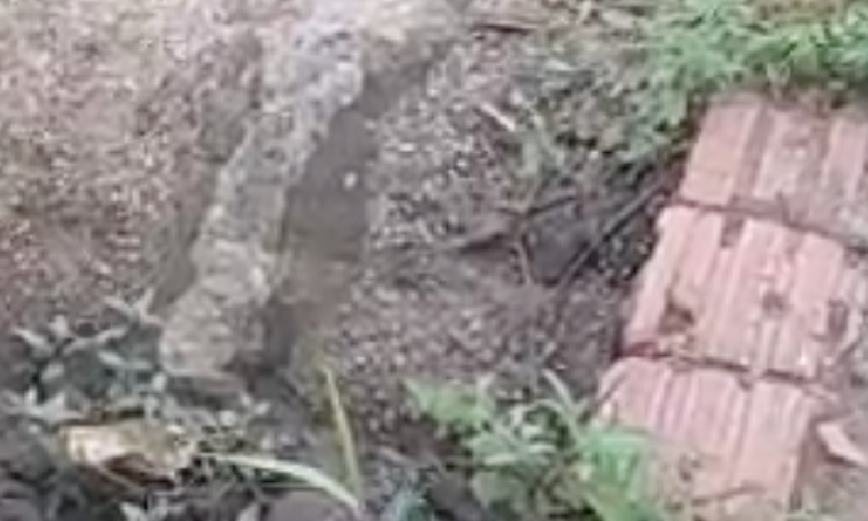 Homem acusado de bater na própria mãe recebe visita surpresa de facção em Manacapuru; veja vídeo