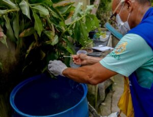 Manaus registra 16 novos casos de dengue em apenas uma semana