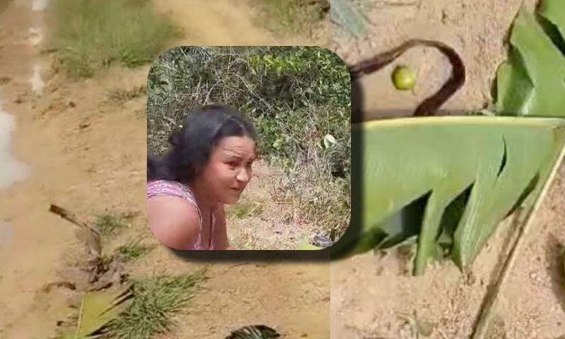 Mulher grávida se desespera ao ver que marido foi assassinado por fazendeiro no AM: “Meu Deus, não!”; veja vídeo