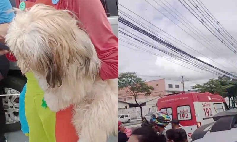 Homem tentava atravessar avenida com cachorro no colo quando morreu atropelado na Djalma Batista; veja vídeos