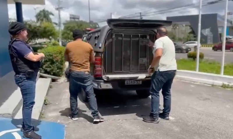 Homem que tentou matar a ex chora ao ser preso no Morro da Liberdade; veja vídeos