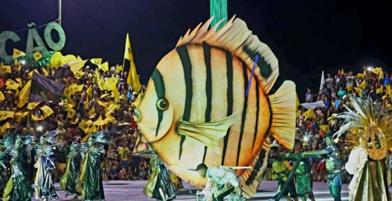 MPAM recomenda coibição da venda de bebidas alcoólicas a menores e indígenas no Festival do Peixe Ornamental
