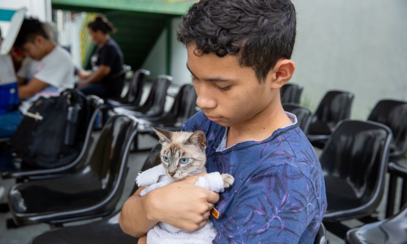 Castramóvel da prefeitura atende no bairro Santa Etelvina com agendamento presencial nesta sexta-feira (31)