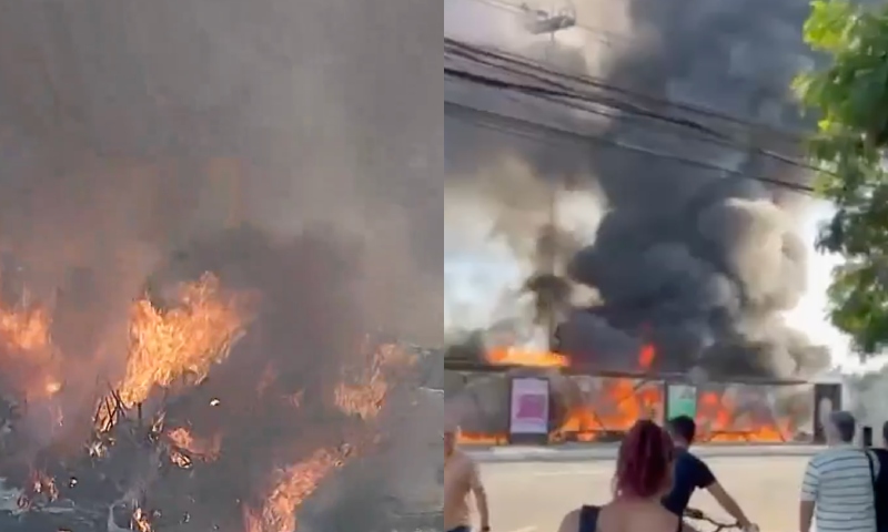 Avião cai, atinge ônibus em avenida de São Paulo e deixa mortos e feridos; veja vídeos