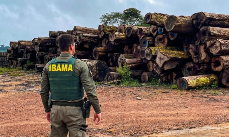 Ibama intensifica o combate ao desmatamento na Amazônia