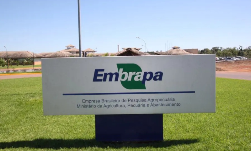 Governo Lula deveria investir R$ 300 milhões na Embrapa para manter pesquisa agronômica viva no Brasil