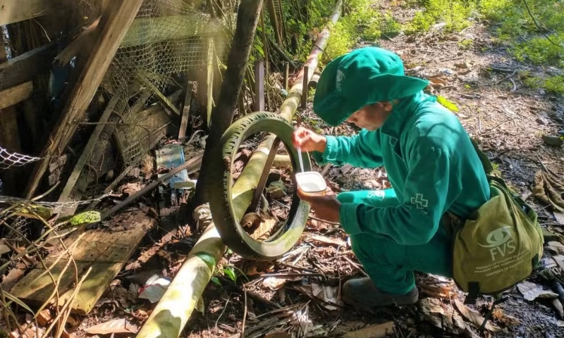 Amazonas registra redução de 55% nos casos de dengue em 2025