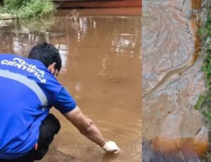 Barragem de garimpo ilegal se rompe e contamina rios do Amapá