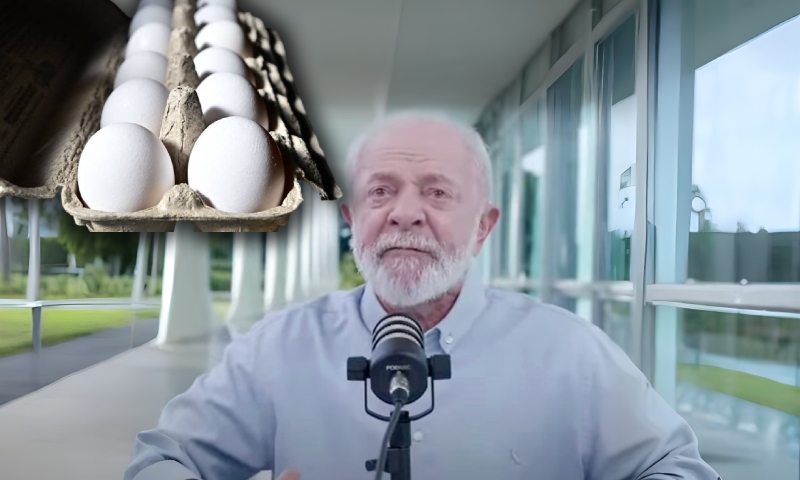 Lula admite que “o preço do ovo está absurdo” e diz que irá discutir com atacadistas; veja vídeo