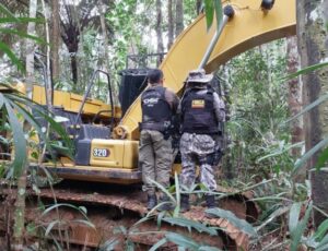 MPF pede condenação de réu por lavagem de mais de R$ 217 milhões em ouro ilegal em Maués